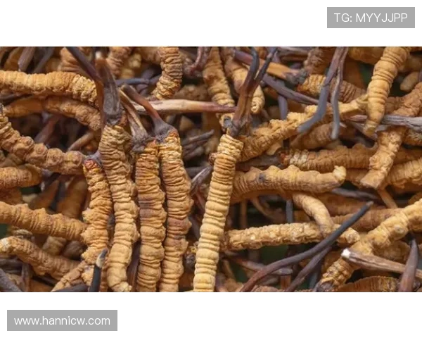 滑板界的传奇刘秀英揭秘成功背后的秘密与坚持之路 滑板界的传奇刘秀英揭秘成功背后的秘密与坚持之路