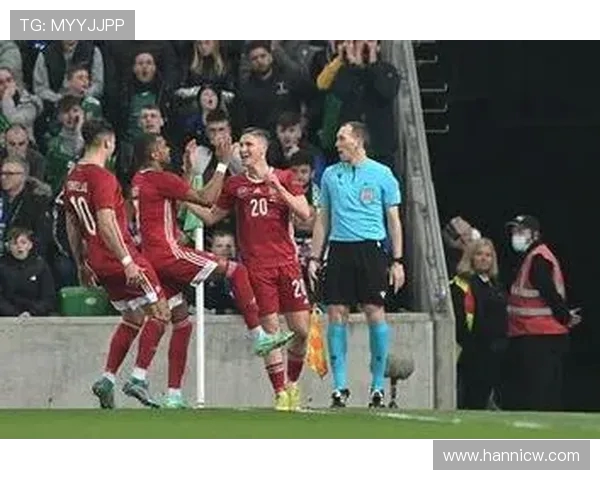 北爱尔兰与冰岛激战在即球迷期待精彩对决与历史交锋